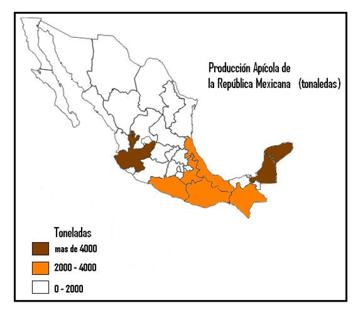 Polen De Abeja 100% Natural 1kg Nacional Mexicano